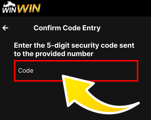 Enter verification code field