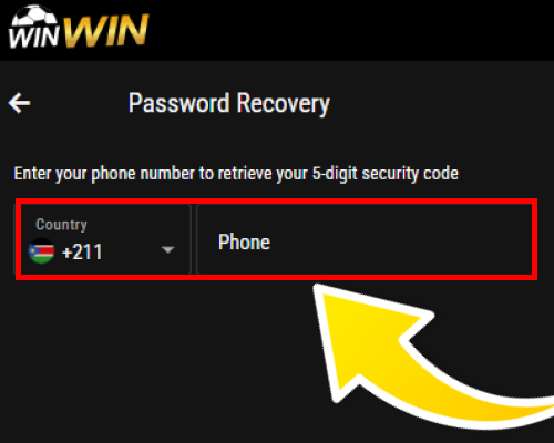 Phone number input